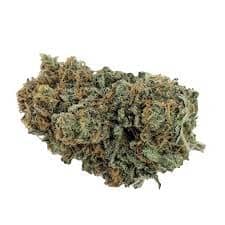 Animal Mints Bx1