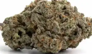Banana Punch