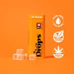 Orange 20-Piece [Creative]